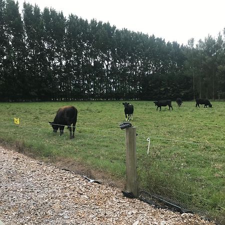 Hotel Brookside Country Escape 40 Minutes To Chc Airport Leeston Exteriér fotografie