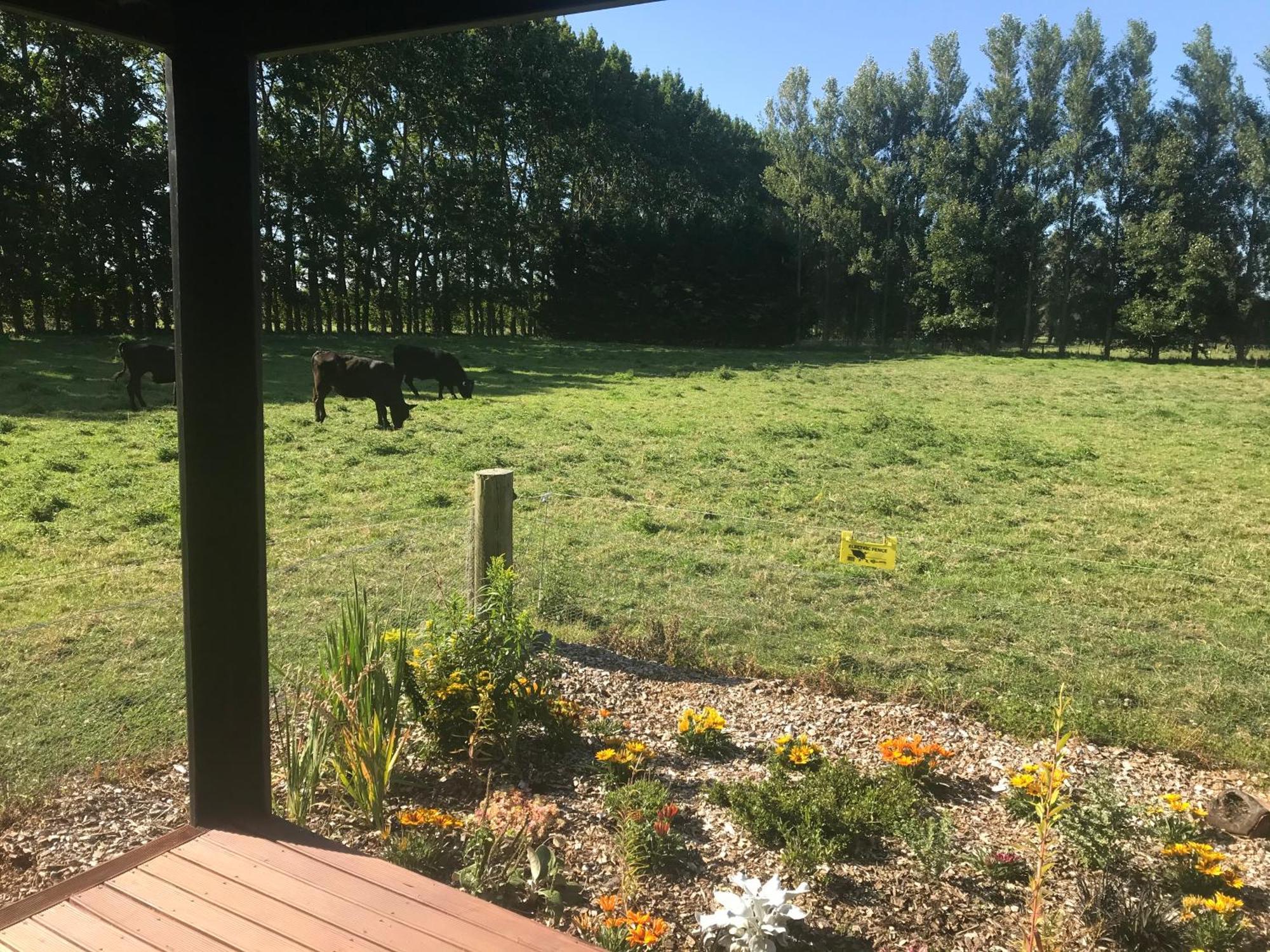 Hotel Brookside Country Escape 40 Minutes To Chc Airport Leeston Exteriér fotografie
